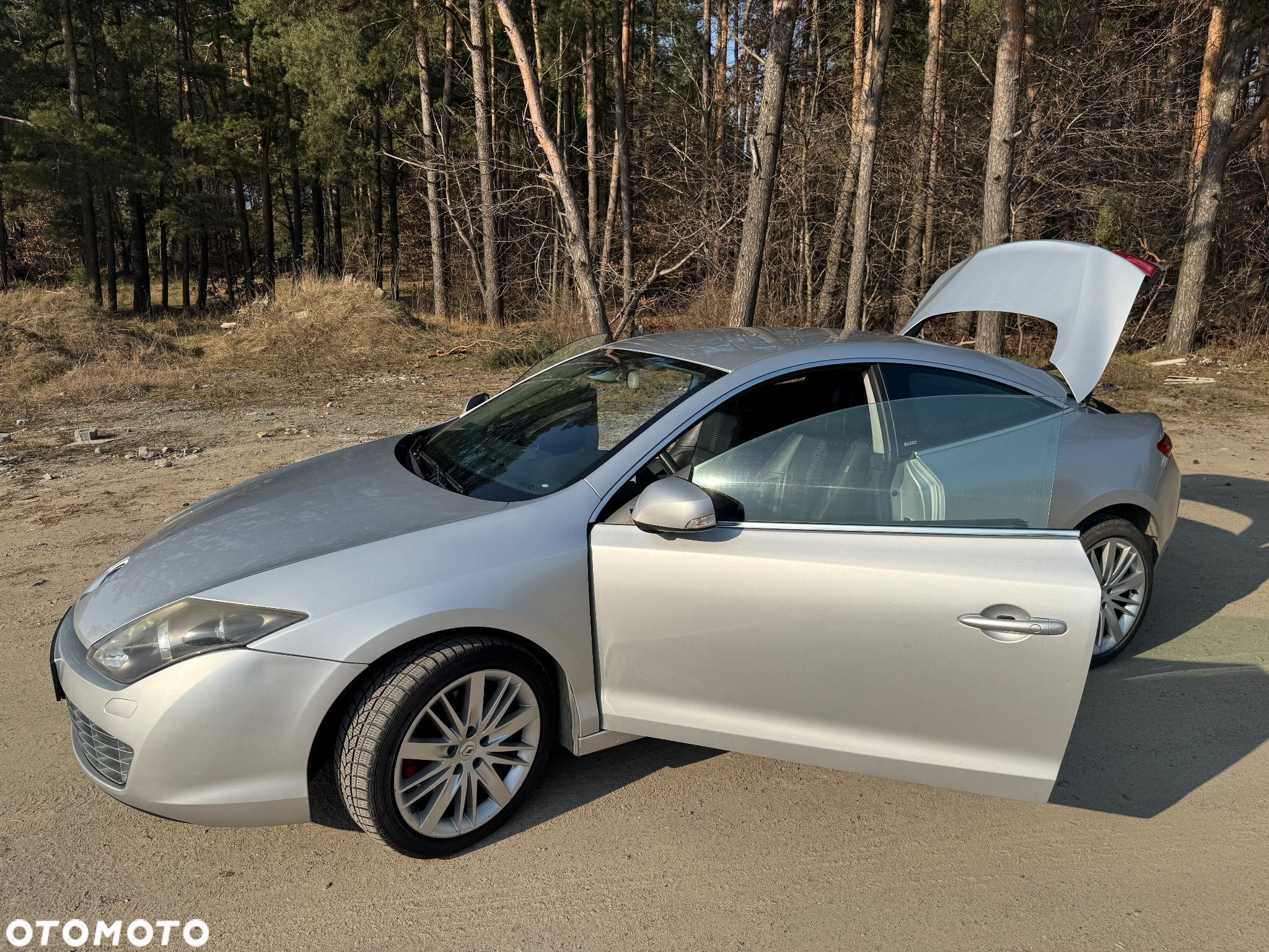 Renault Laguna Coupe 2.0 dCi FAP Dynamique - 1