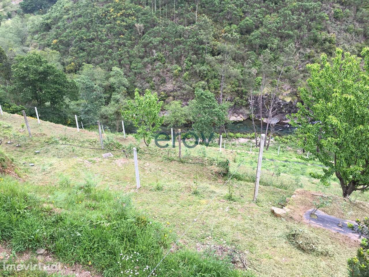 Quinta em Arouca - Moldes - Grande imagem: 5/10