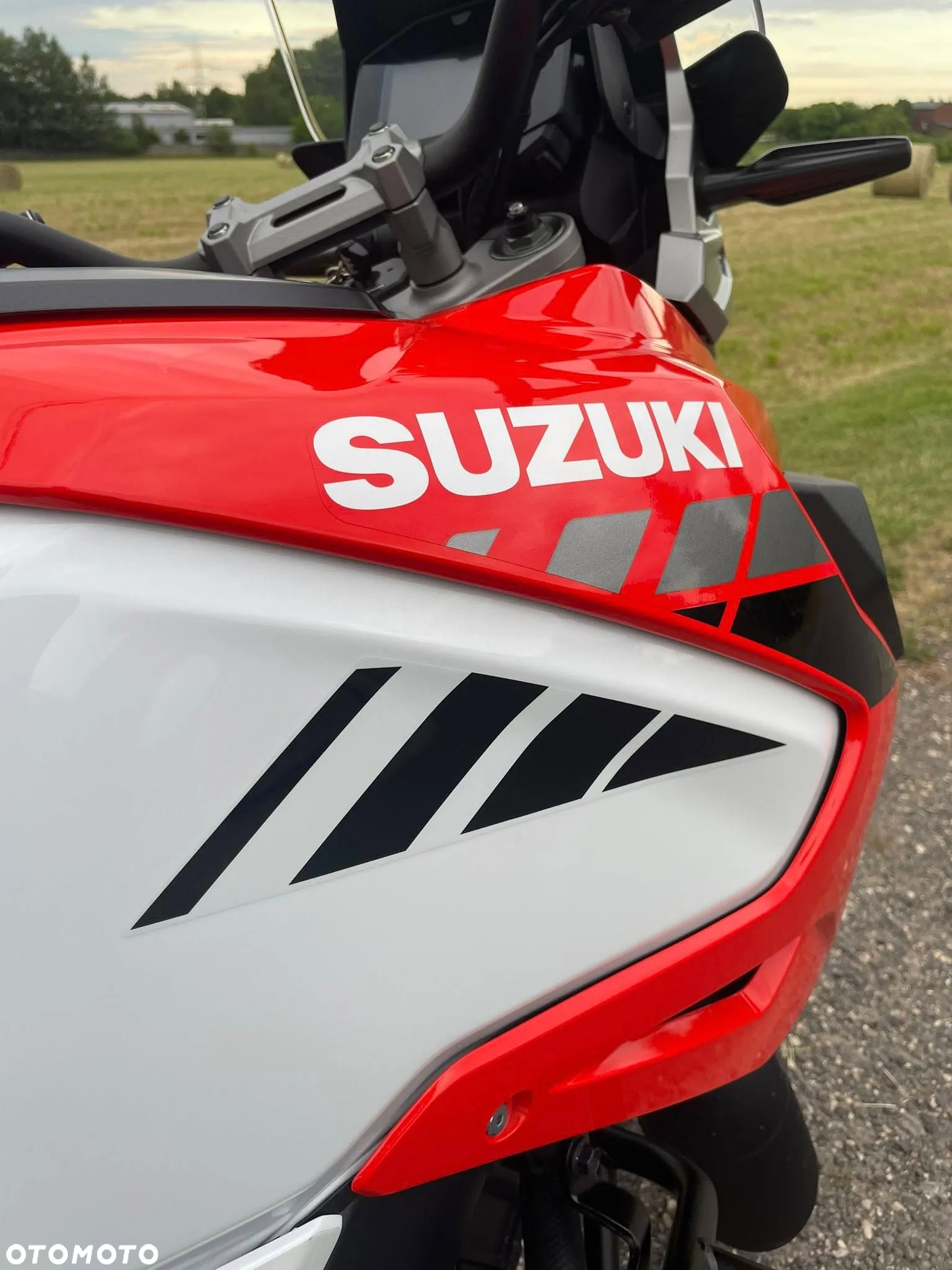 Suzuki DL