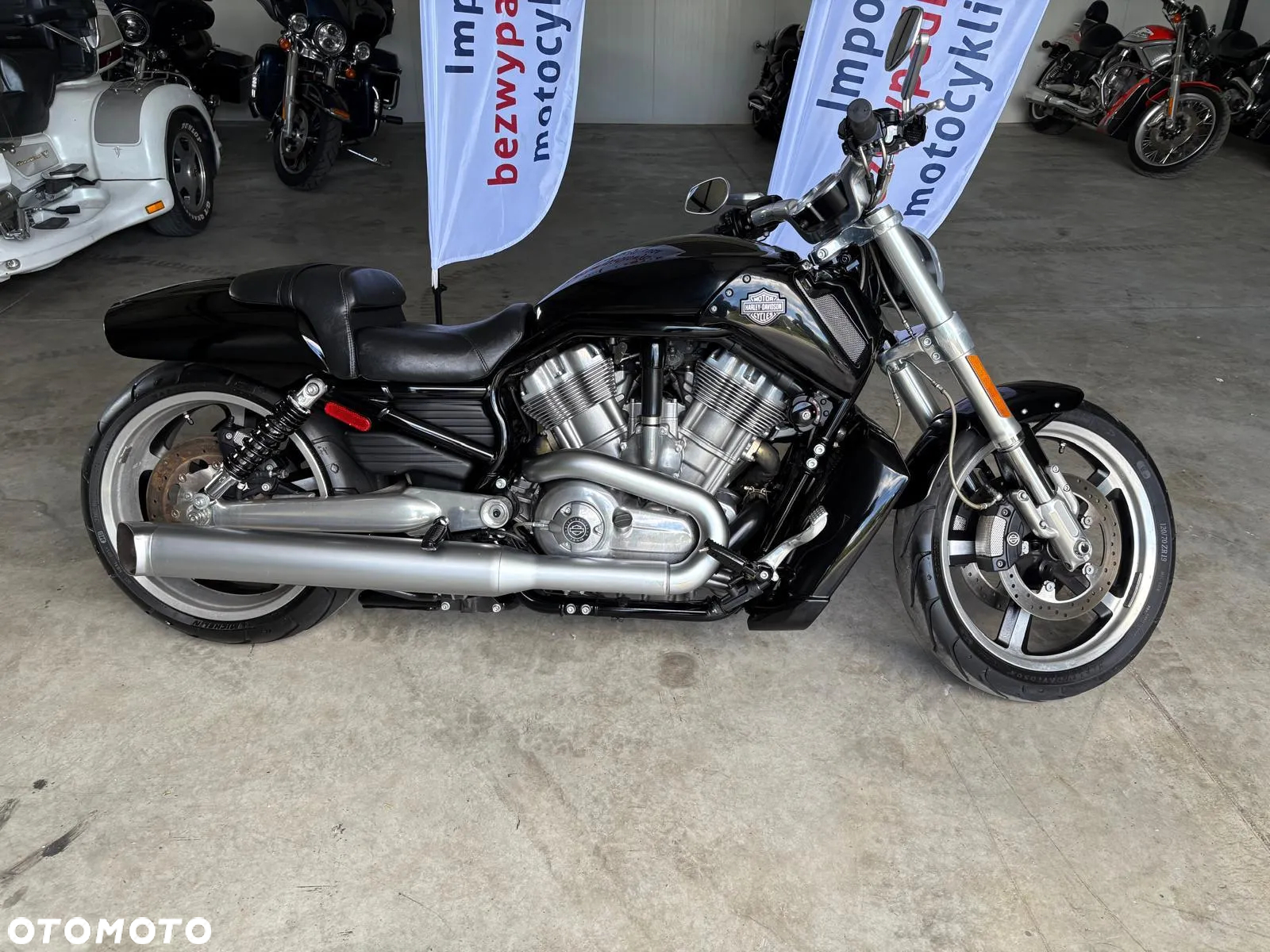 Harley-Davidson V-Rod Muscle - 2