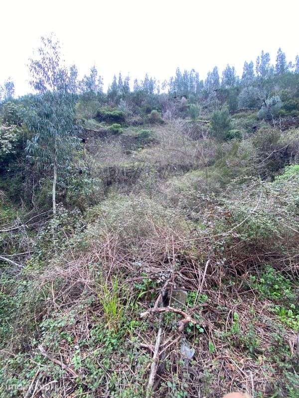Terreno  para venda - Grande imagem: 5/5