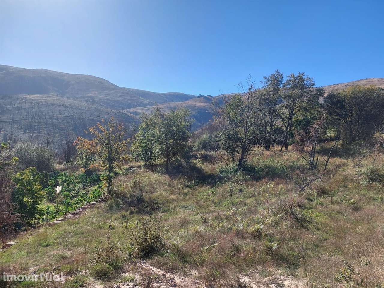 Terreno Rústico  Venda em Figueiró da Serra e Freixo da Serra,Gouveia - Grande imagem: 5/5