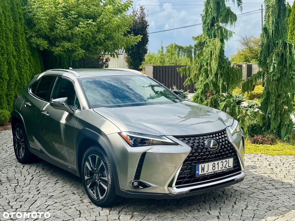 Lexus UX 250h F Sport 2WD - 2
