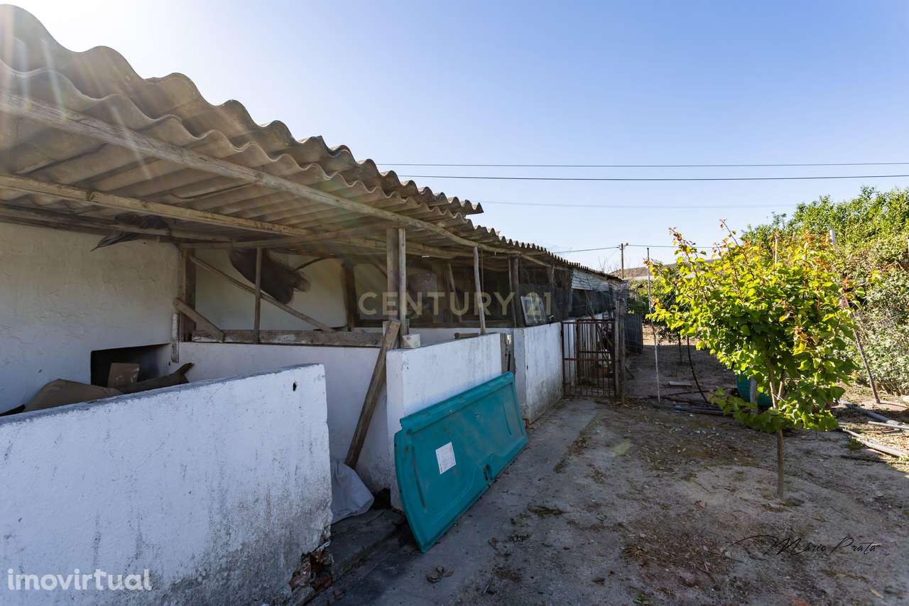 ** Quinta com Moradia T9 - Santo Isidro de Pegões - Montijo ** - Grande imagem: 3/26