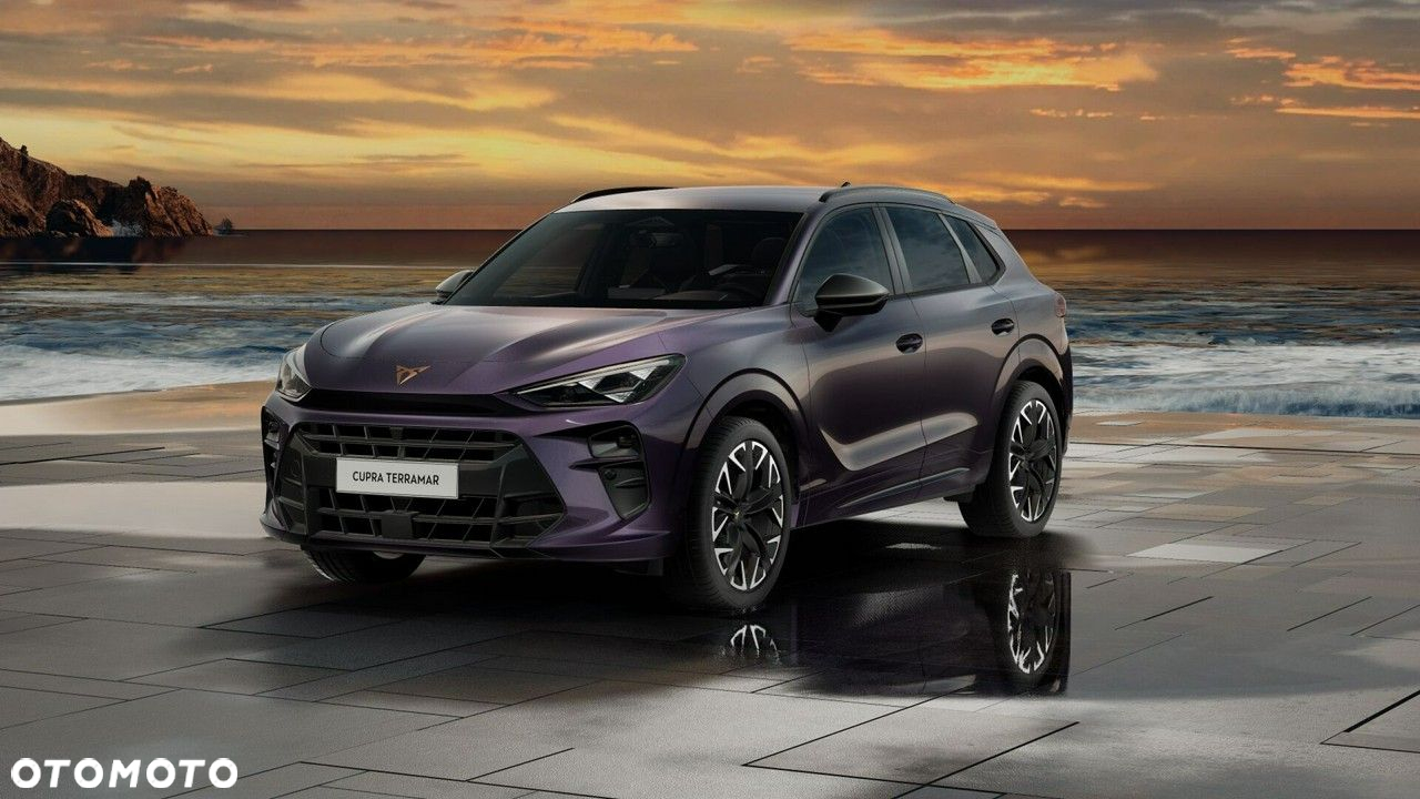 Cupra Terramar - 2
