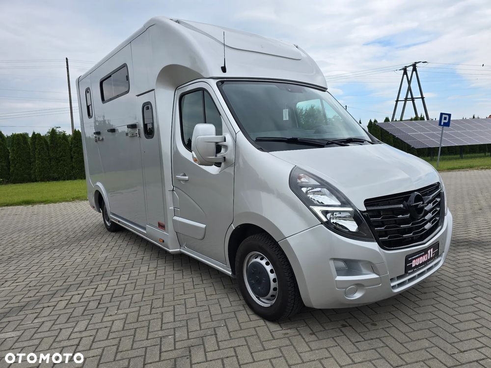 Opel Movano-Koniowóz - 4
