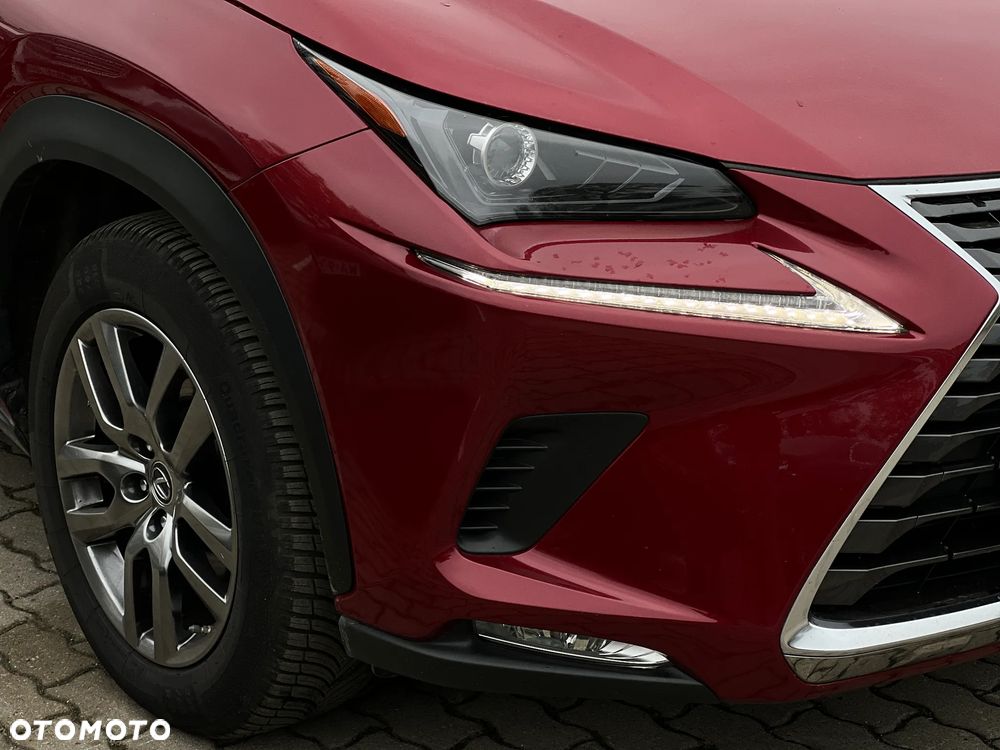 Lexus NX - 10