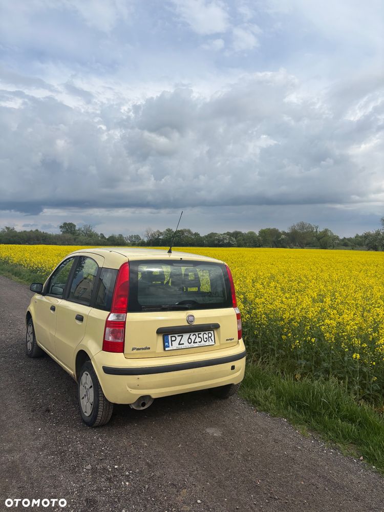 Fiat Panda - 3