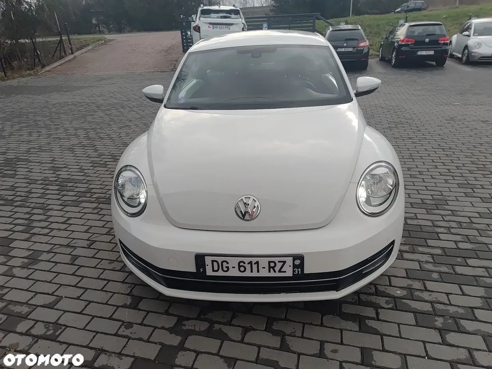 Volkswagen Beetle - 24