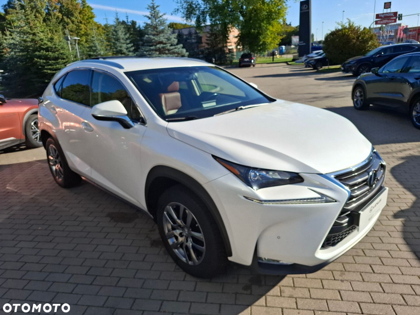Lexus NX 200t Comfort AWD - 7