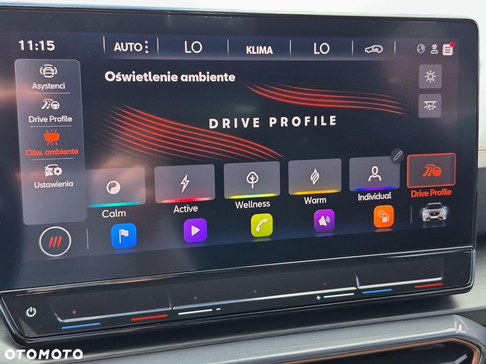 Cupra Formentor 2.0 TSI 4Drive VZ DSG - 27