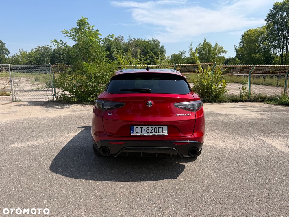 Alfa Romeo Stelvio 2.0 Turbo Intensa Q4 - 5