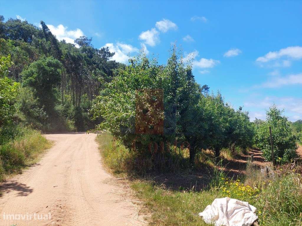 Terreno Rústico com 960 m² em Sancheira Pequena, Óbidos - Grande imagem: 3/8