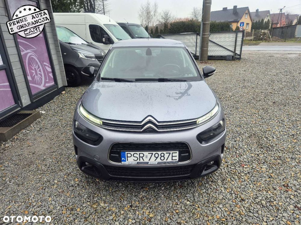 Citroen C4 Cactus 2019 photo 3