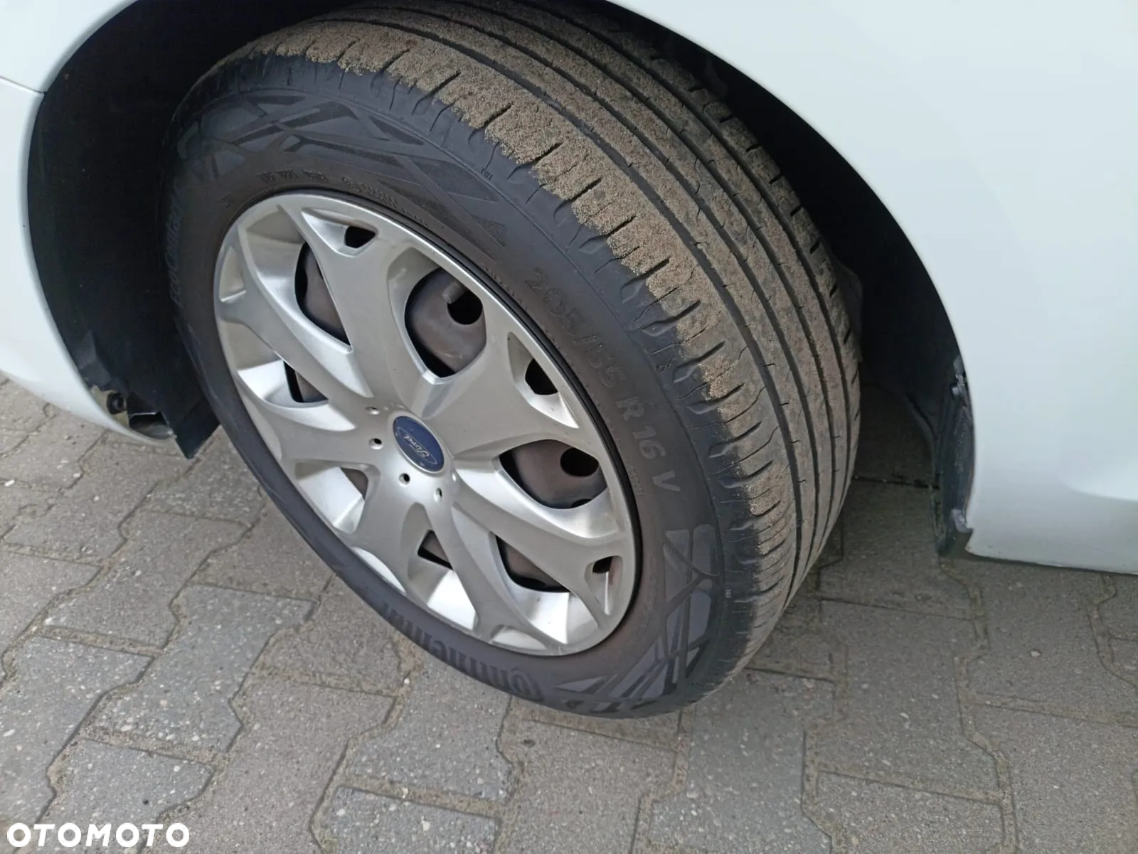 Ford Focus 1.6 16V White Magic - 24