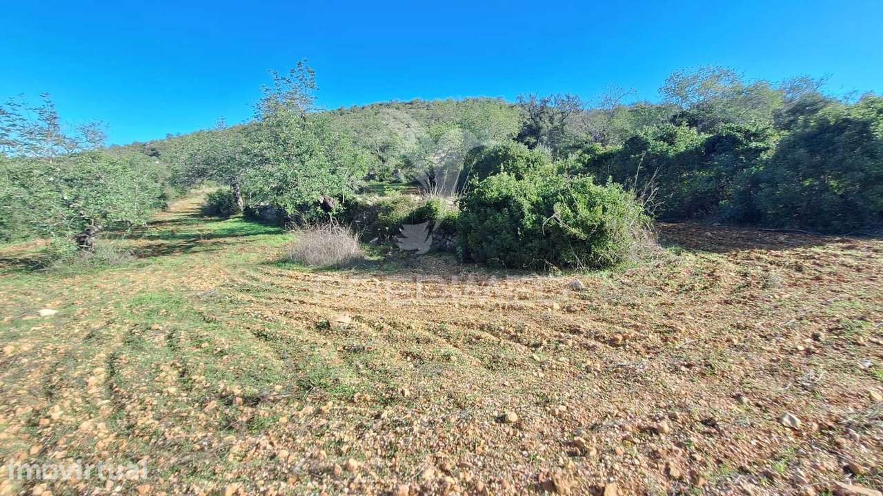 Terreno rustico em Loulé com acesso directo da estrada - Grande imagem: 2/10