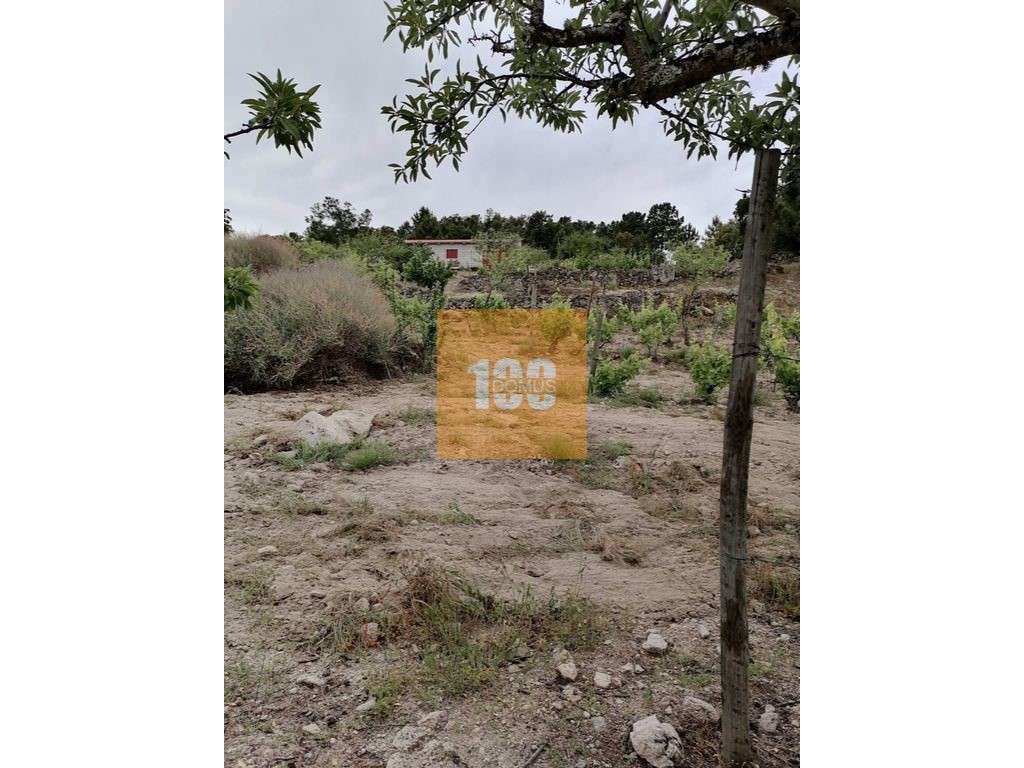 Terreno em Larinho - Grande imagem: 3/22