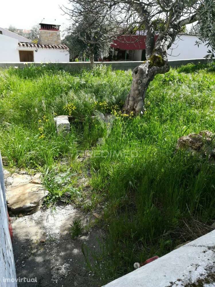 Monte Meira situado na Urra - Grande imagem: 2/4