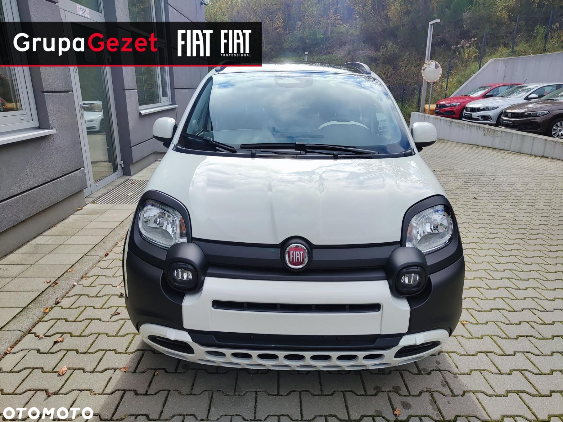 Fiat Panda - 5