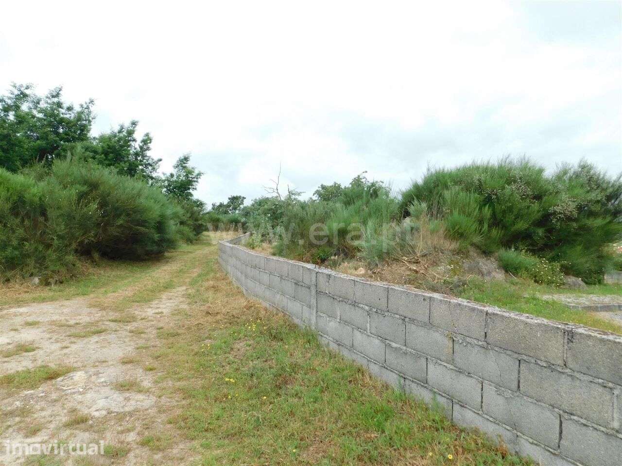 Terreno para Construção / Oliveira do Hospital, Travanca de Lagos - Grande imagem: 2/2