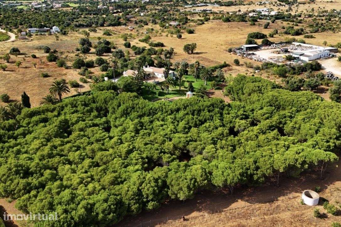 Moradia T4 com garagem e jardim em Bemparece, Carvoeiro - Grande imagem: 2/29
