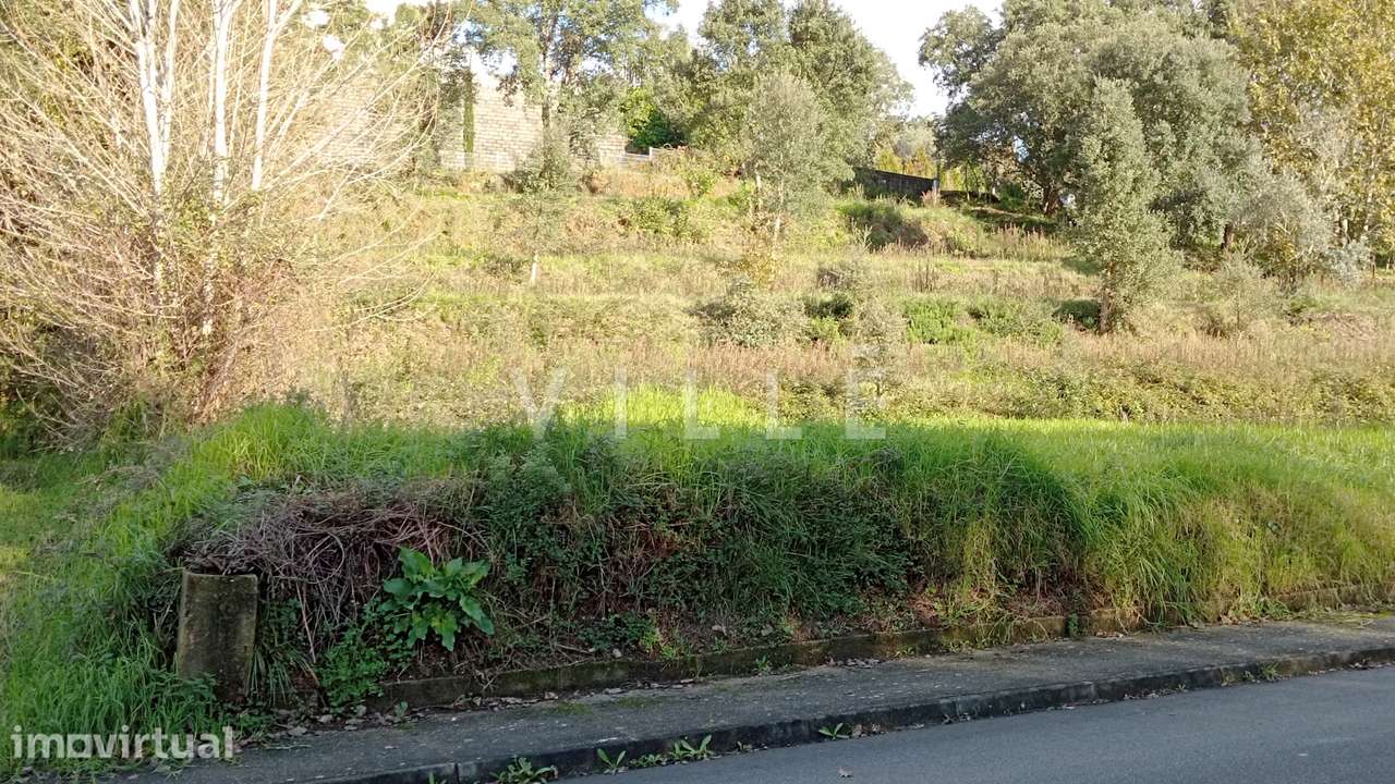 Terreno para construção em Macinhata do Vouga - Águeda. - Grande imagem: 2/6