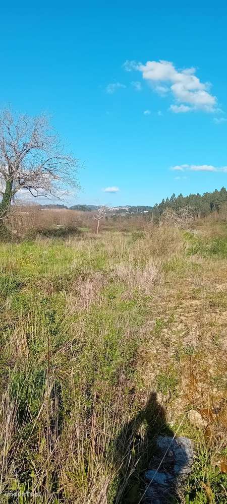 TERRENO PARA CONSTRUÇAO - Grande imagem: 3/3