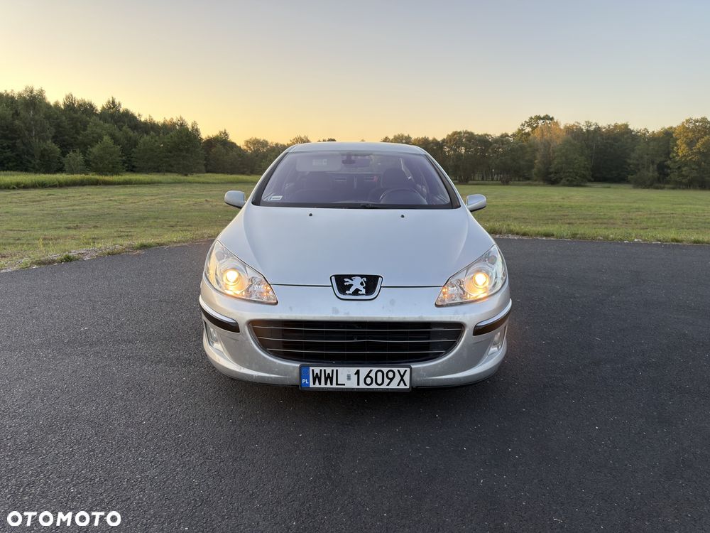 Peugeot 407 - 8