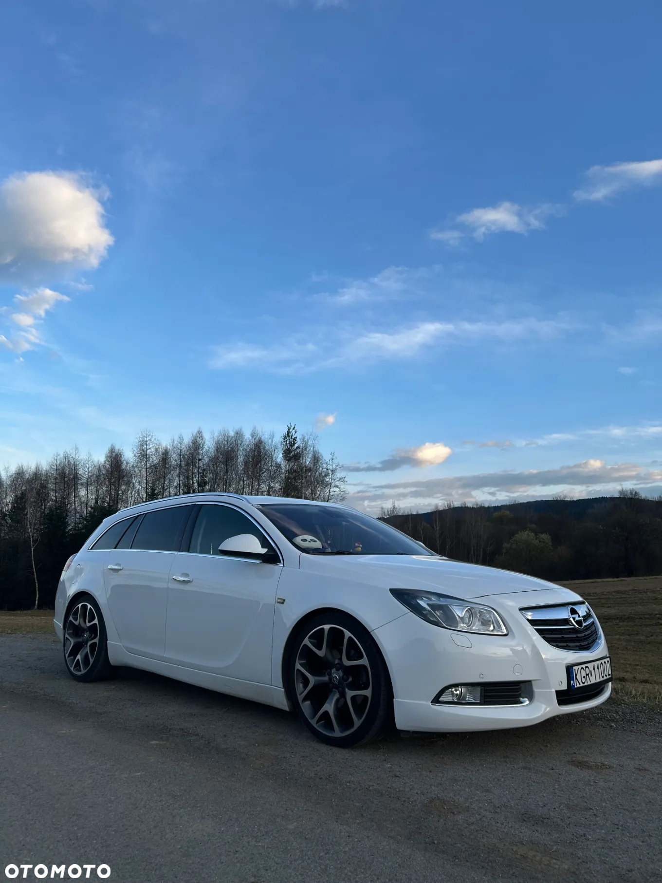 Opel Insignia 2.0 CDTI Sport - 2