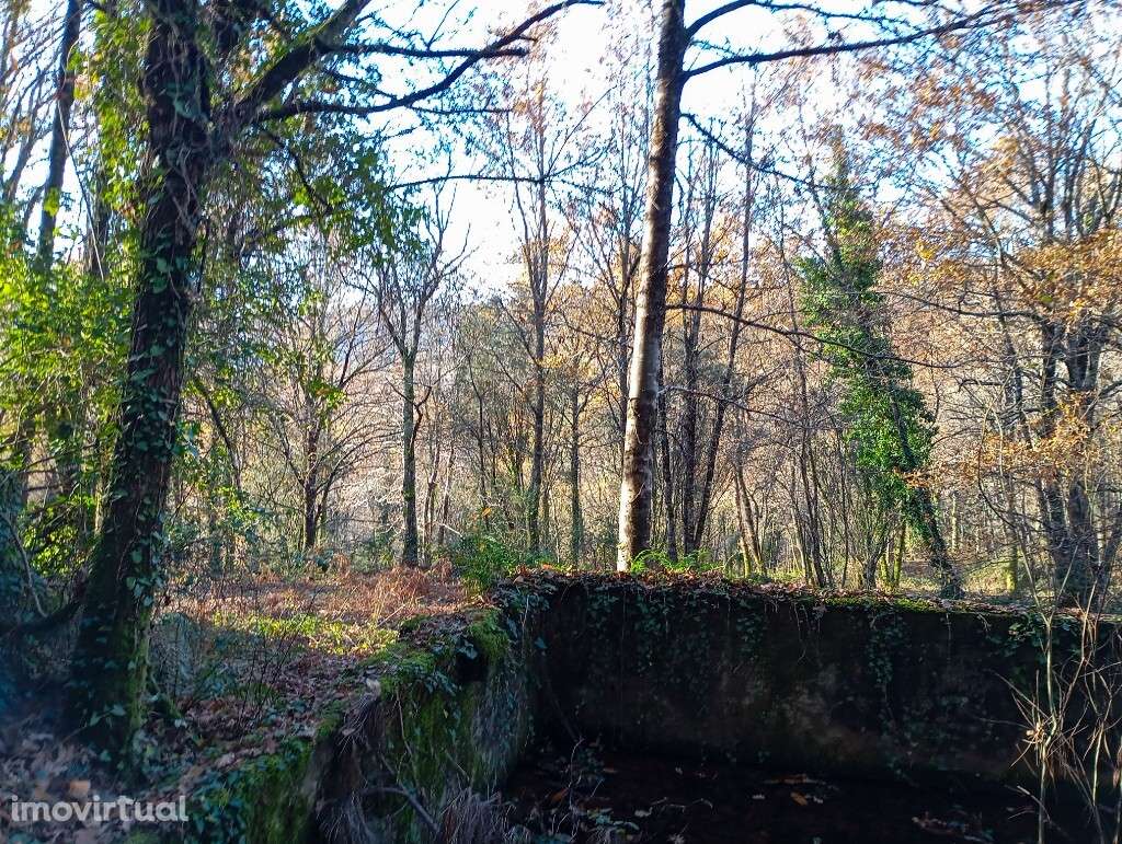 Quinta c/ Ruína - Mosteiro - Grande imagem: 2/23