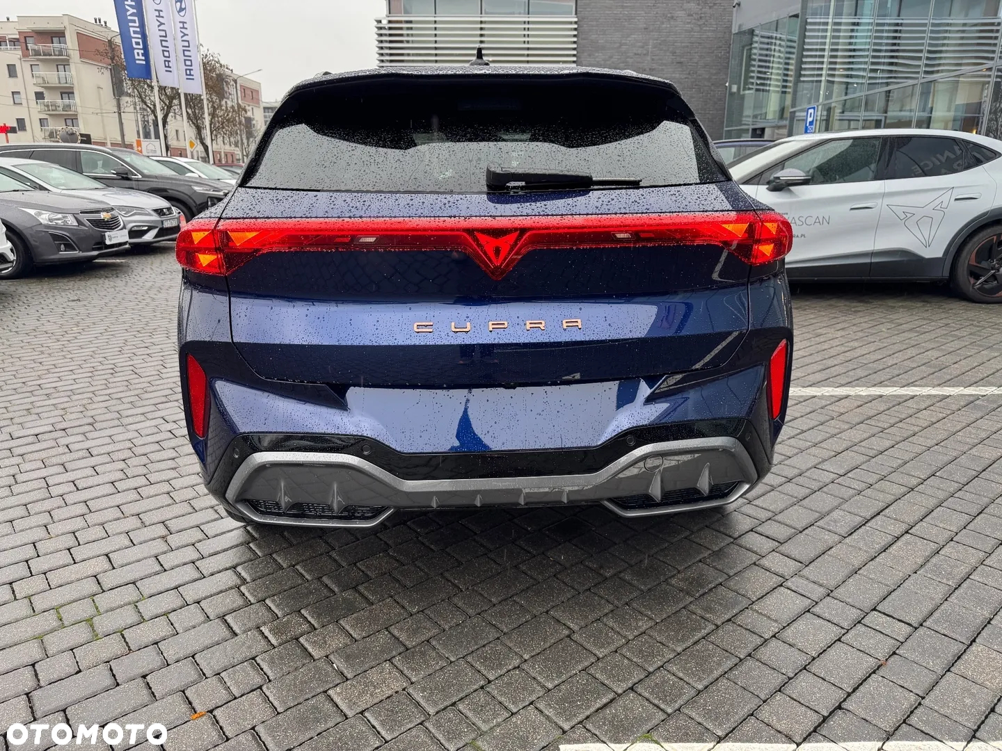 Cupra Terramar 2.0 TSI 4Drive DSG - 3