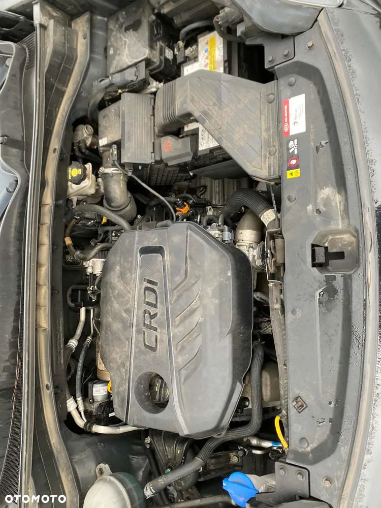 Kia Sportage 1.6 CRDI 2WD Eco-Dynamics+ (48V M-H) Black Edition - 13