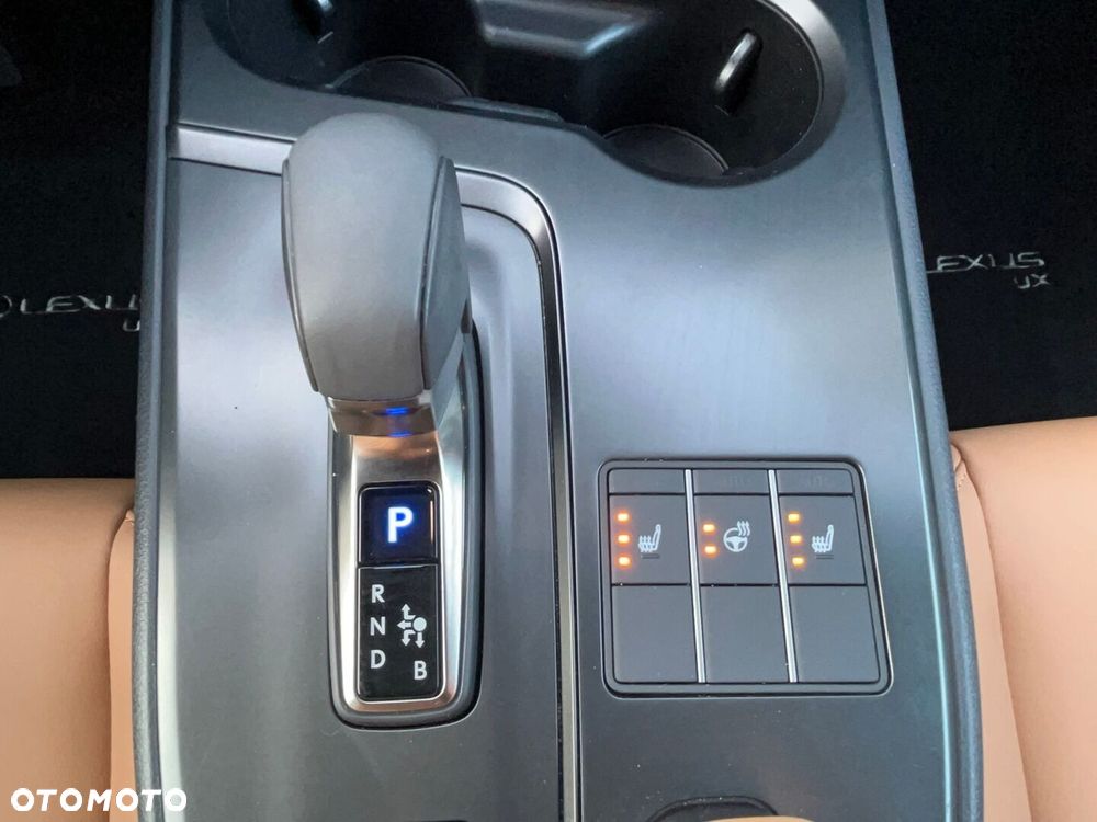 Lexus UX 300h F Sport Design - 11