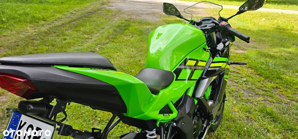 Kawasaki Ninja - 9