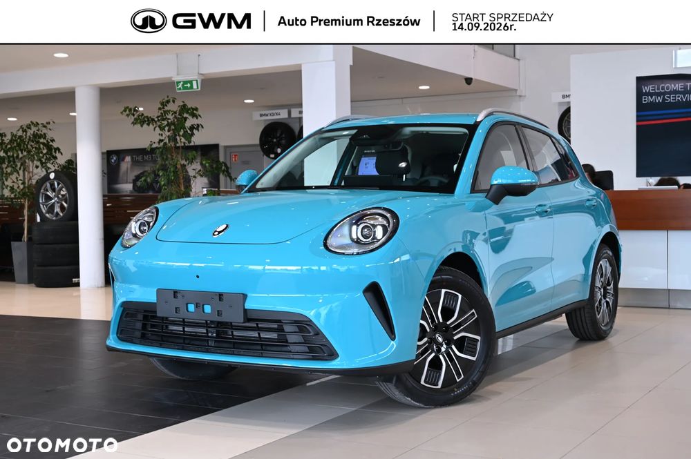 GWM Inny - 2