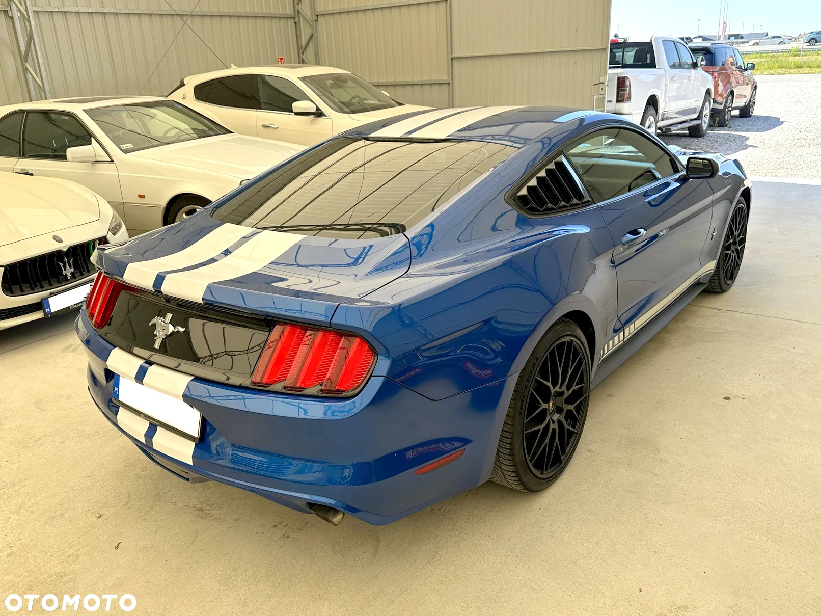 Ford Mustang - 5