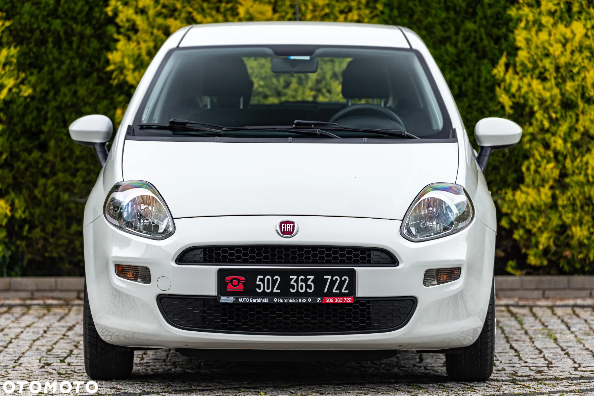 Fiat Punto 1.2 Fresh - 14