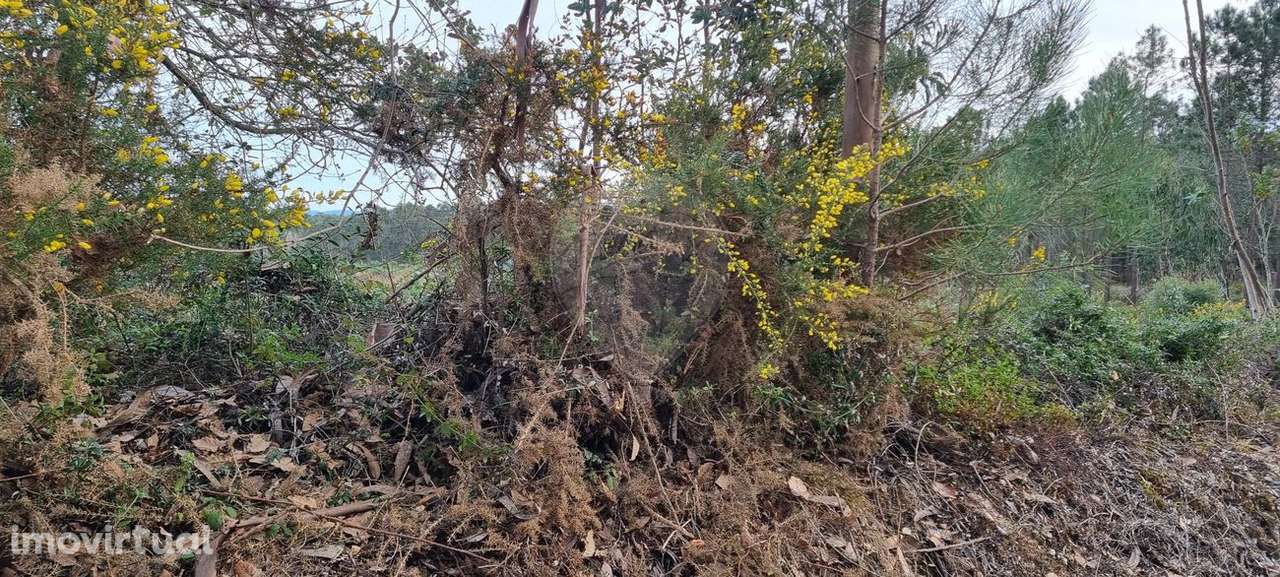 Terreno  para venda - Grande imagem: 5/6