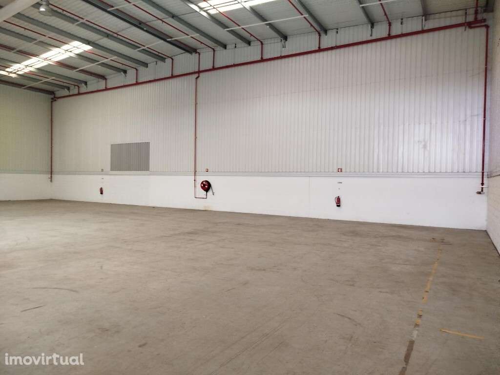 Armazém para arrendar em Benavente - Grande imagem: 2/15