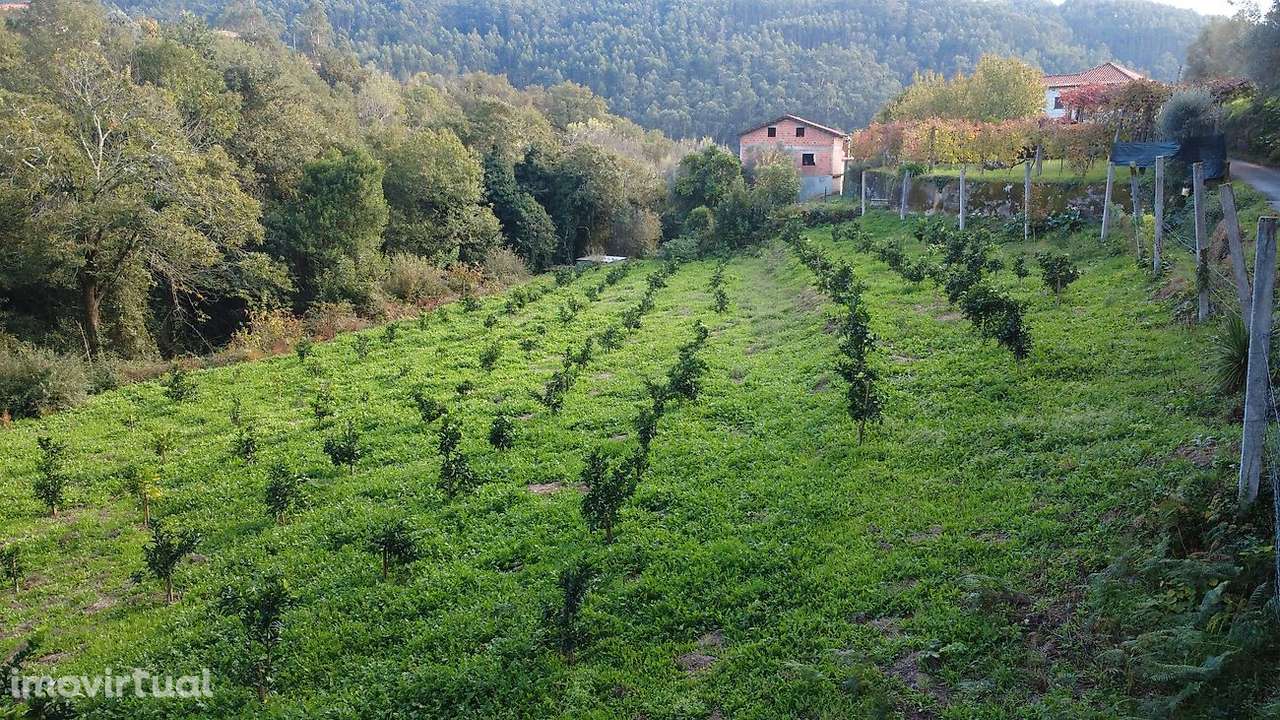 Terreno  para venda - Grande imagem: 4/12