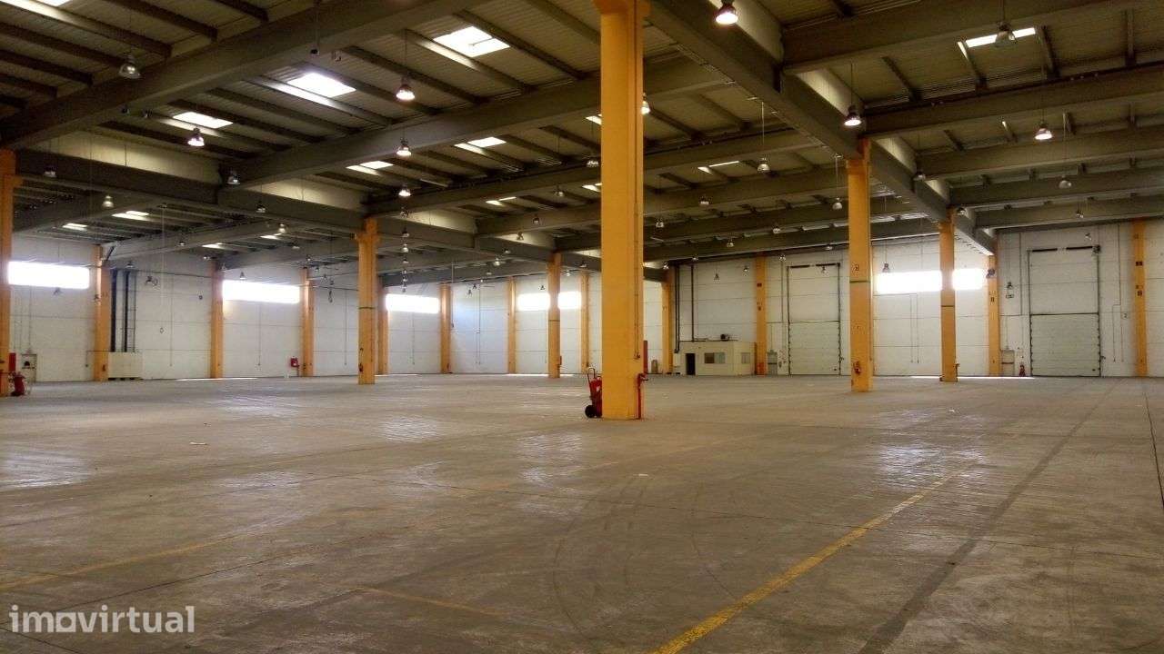 Armazém Logístico Palmela Arrendamento | 3.486 m2 | AutoEuropa - Grande imagem: 2/20
