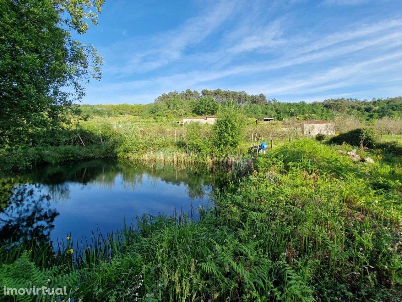 Fabulosa Quinta - Grande imagem: 2/3