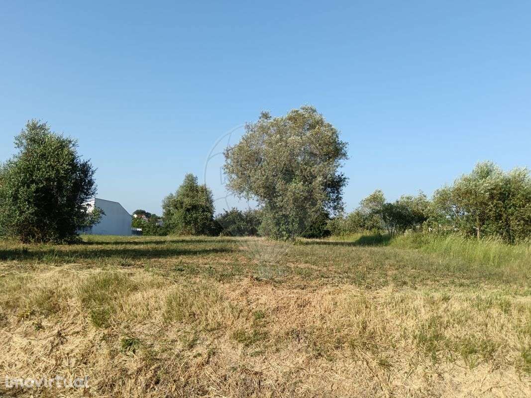 Terreno  para venda - Grande imagem: 3/3