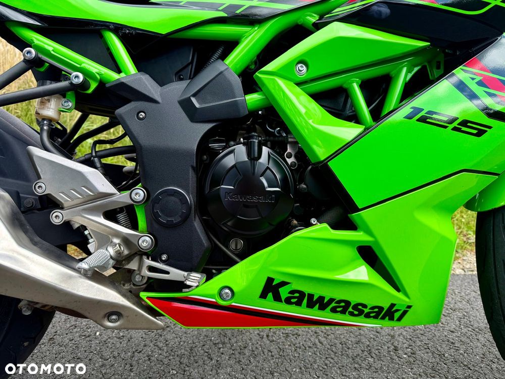 Kawasaki Ninja - 5