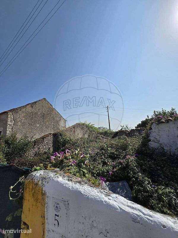 Arrecadação  para venda - Grande imagem: 2/7