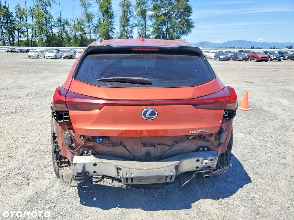Lexus UX 250h Elegance AWD - 7