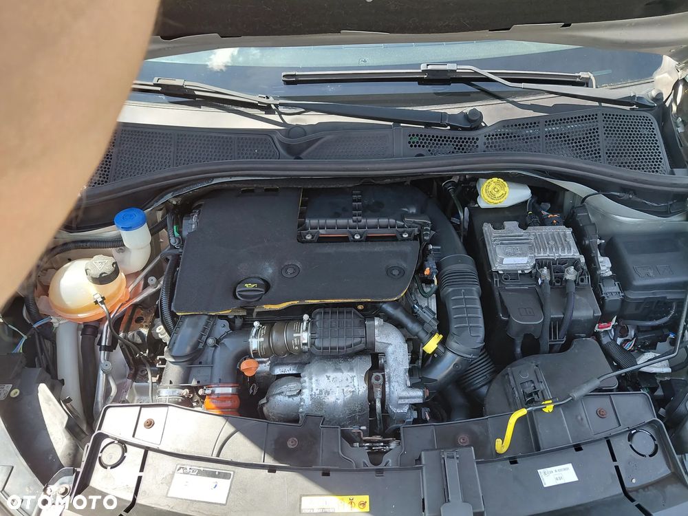 Citroën C4 Cactus 1.6 Blue HDi Shine Edition - 26