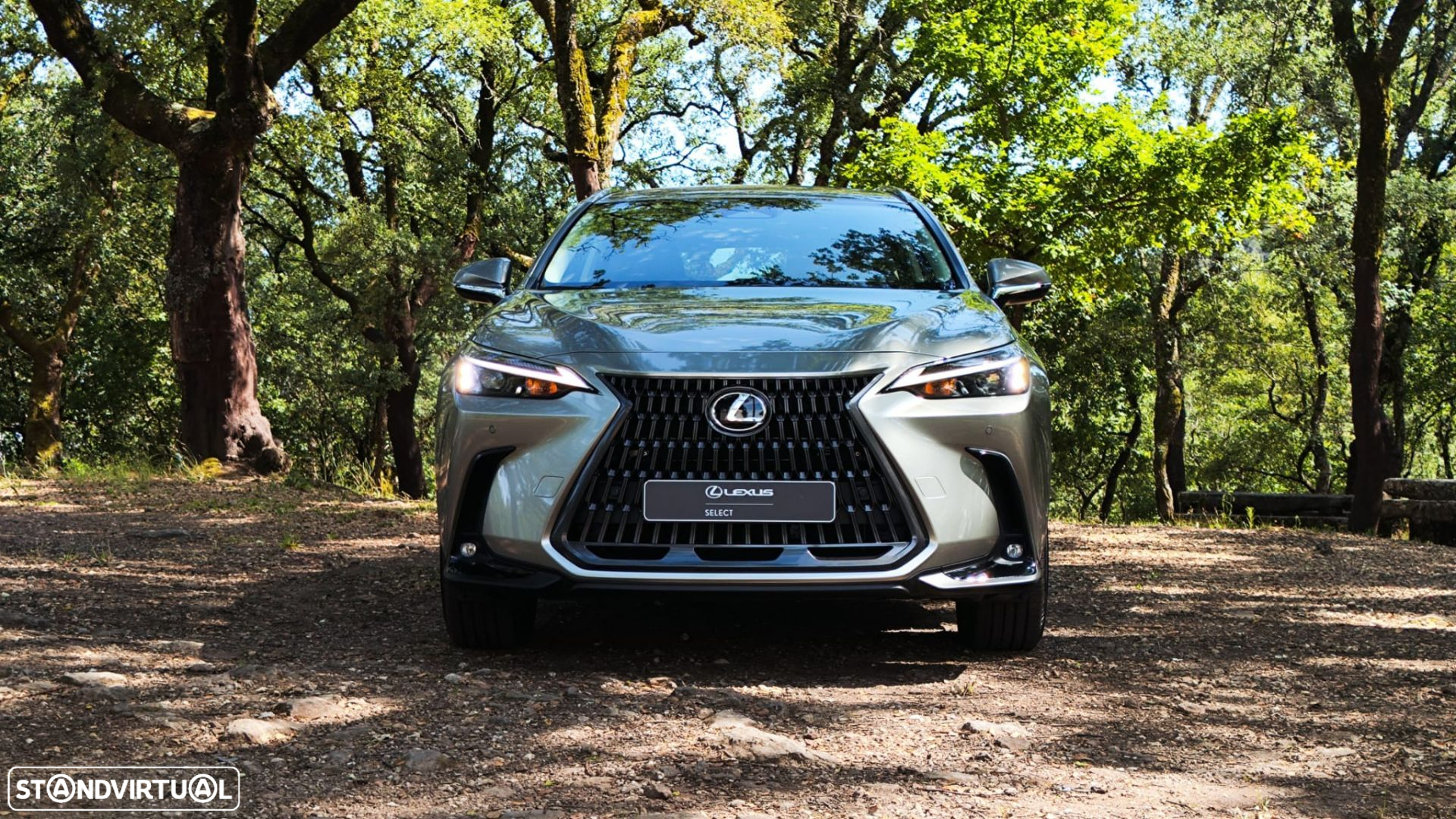 Lexus NX 450h+ Executive - 2