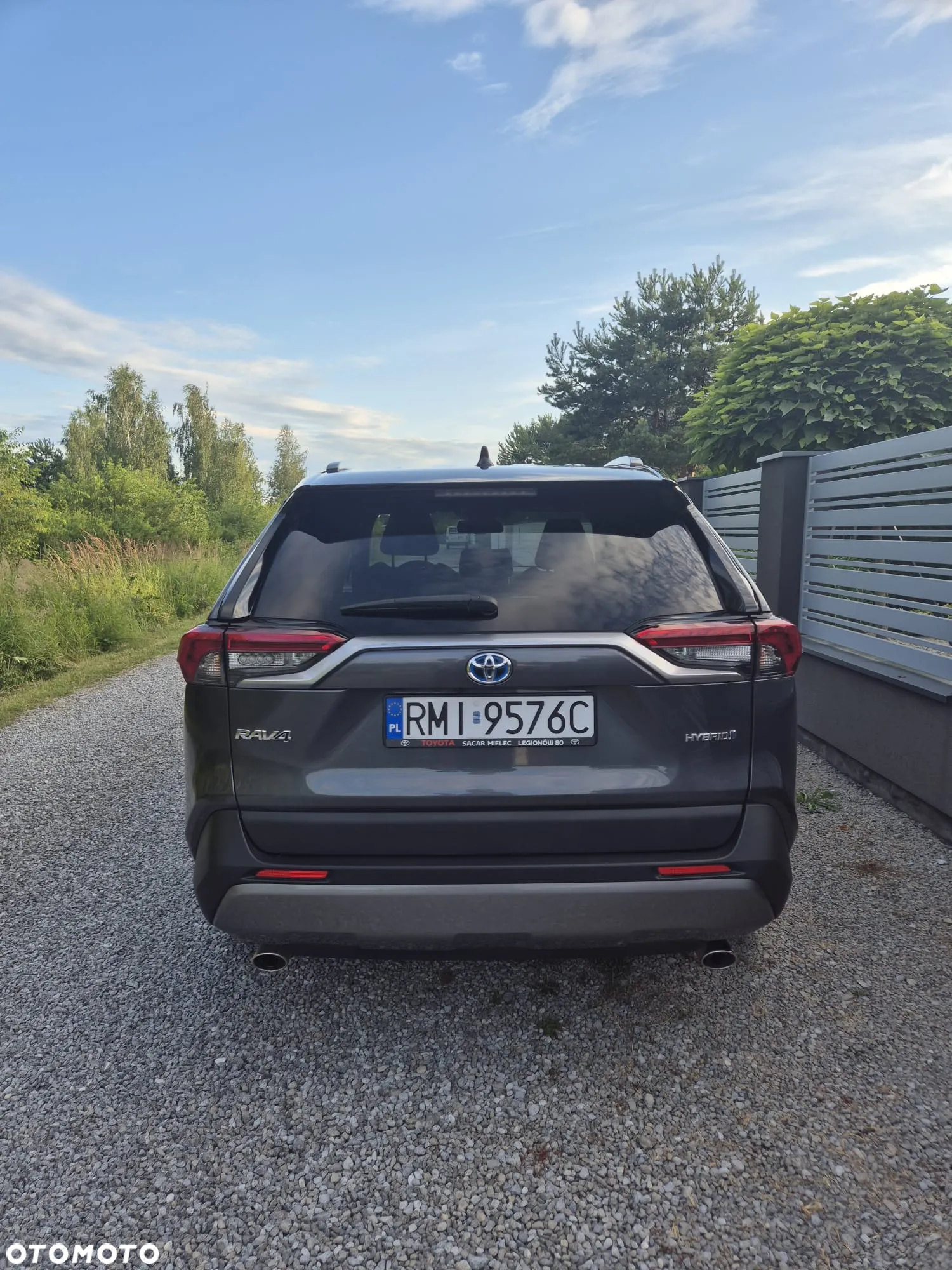 Toyota RAV4 2.5 Hybrid Comfort 4x2 - 2