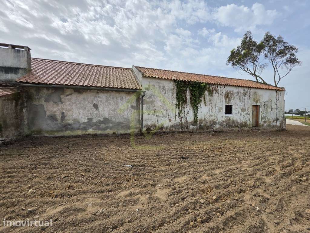 Casa Térrea para recuperar em terreno de 1840m2 - Grande imagem: 2/13